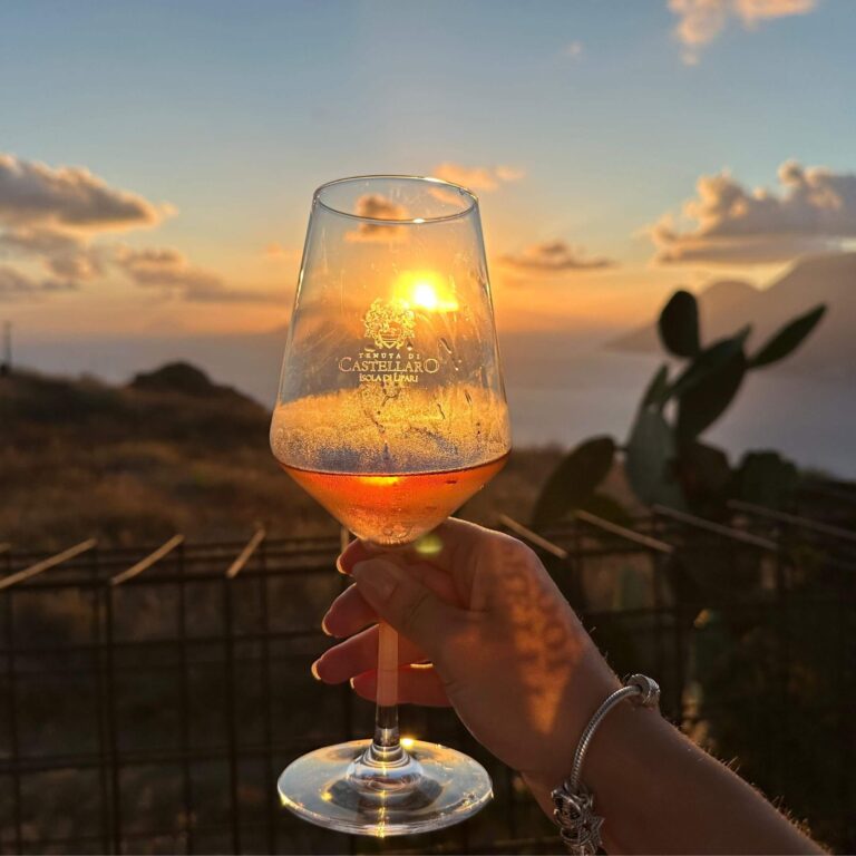 A wine at Tenuta di Castellaro vineyard
