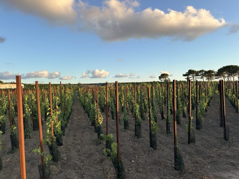 winery